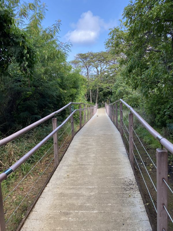 Concrete Path Installation in Keller, TX